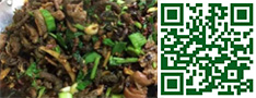 高蛋白食品